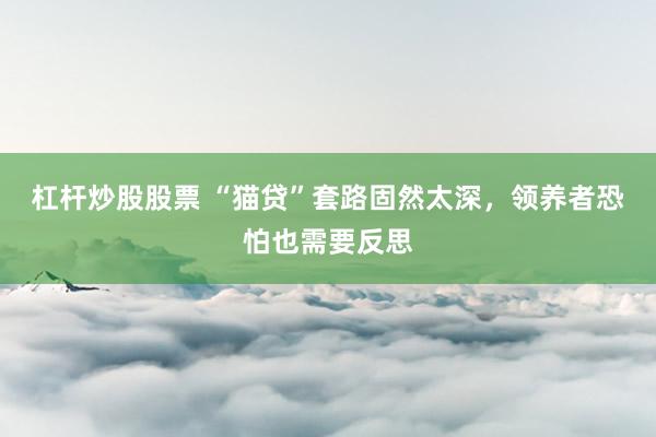 杠杆炒股股票 “猫贷”套路固然太深，领养者恐怕也需要反思