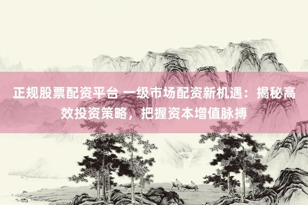 正规股票配资平台 一级市场配资新机遇：揭秘高效投资策略，把握资本增值脉搏