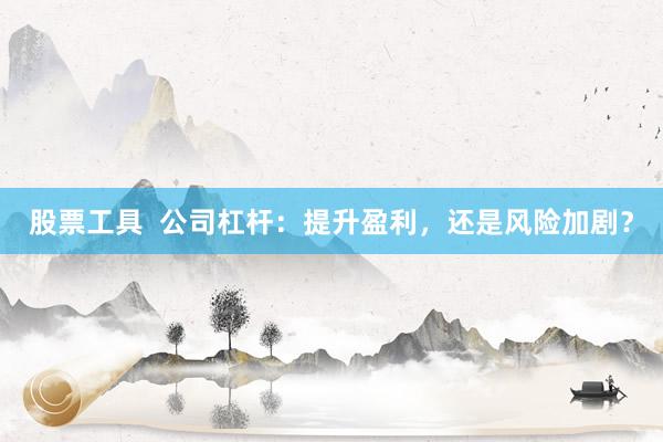 股票工具  公司杠杆：提升盈利，还是风险加剧？