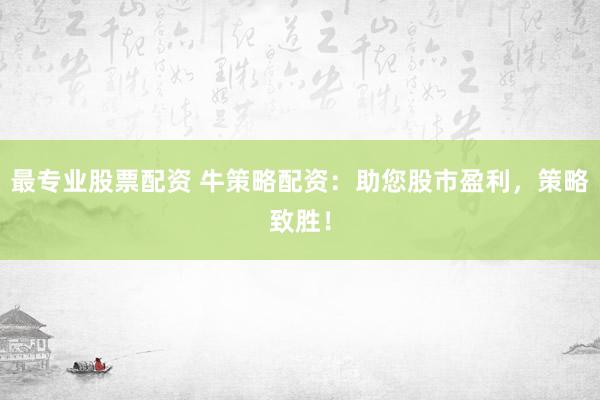 最专业股票配资 牛策略配资：助您股市盈利，策略致胜！