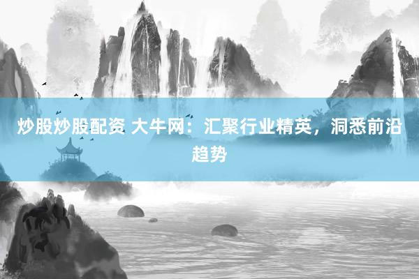 炒股炒股配资 大牛网：汇聚行业精英，洞悉前沿趋势