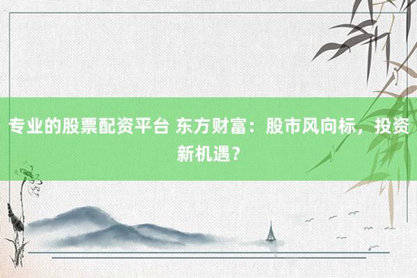 专业的股票配资平台 东方财富：股市风向标，投资新机遇？