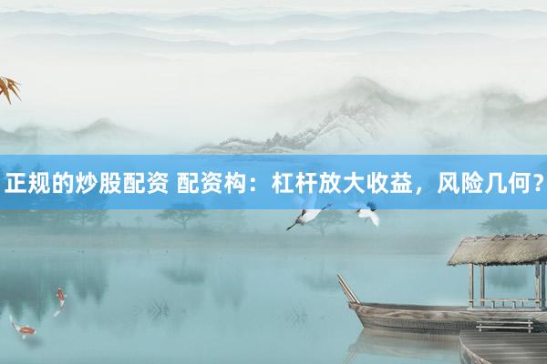 正规的炒股配资 配资构：杠杆放大收益，风险几何？