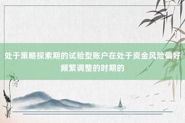 处于策略探索期的试验型账户在处于资金风险偏好频繁调整的时期的