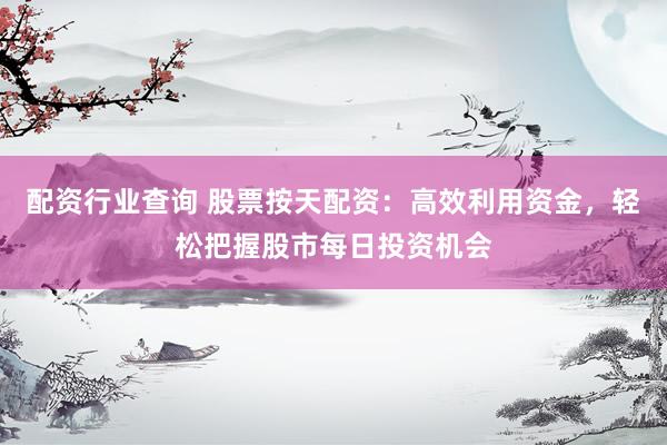 配资行业查询 股票按天配资：高效利用资金，轻松把握股市每日投资机会