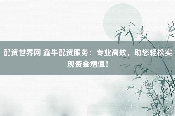 配资世界网 鑫牛配资服务：专业高效，助您轻松实现资金增值！